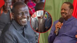 Taita Taveta: Fresh Headache for Raila as 4 Azimio MPs Back Gov't, Pledge Allegiance to Ruto