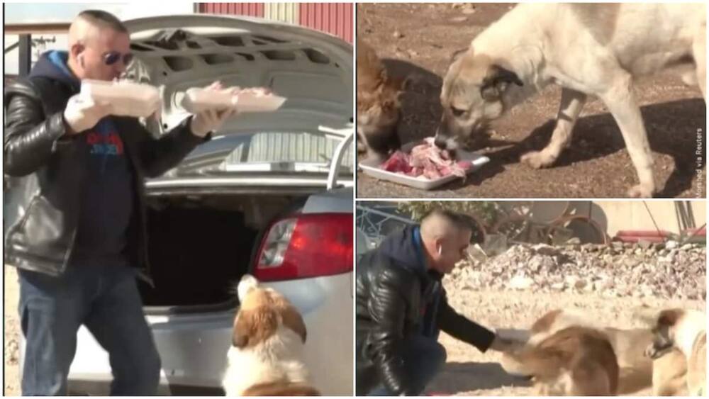 People praised his animal care attitude.