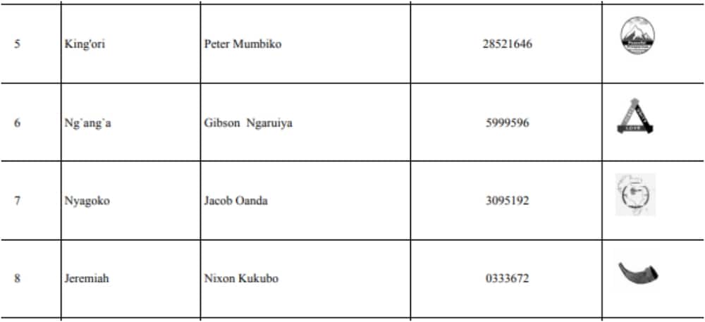 Independent candidates seeking the presidency. Photo: IEBC.