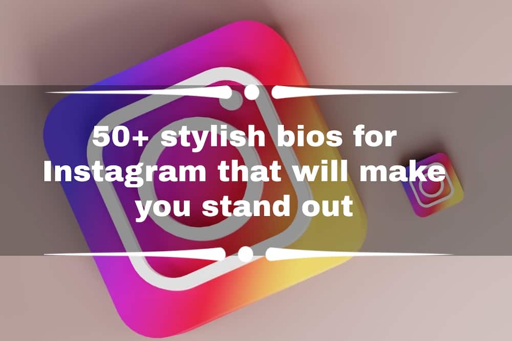 stylish bios for Instagram