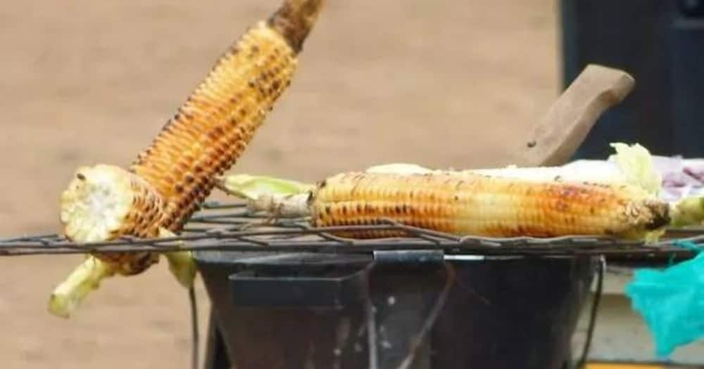 Huenda Biashara ya Mahindi Choma na Chemsha Ikapigwa Marufuku