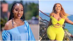 List of Kenyan Socialites Who Pay Their House Helps Over KSh 40k Monthly