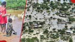 El Nino: 52 Killed, Thousands Displaced as Devastating Floods Wreak Havoc Across the Country
