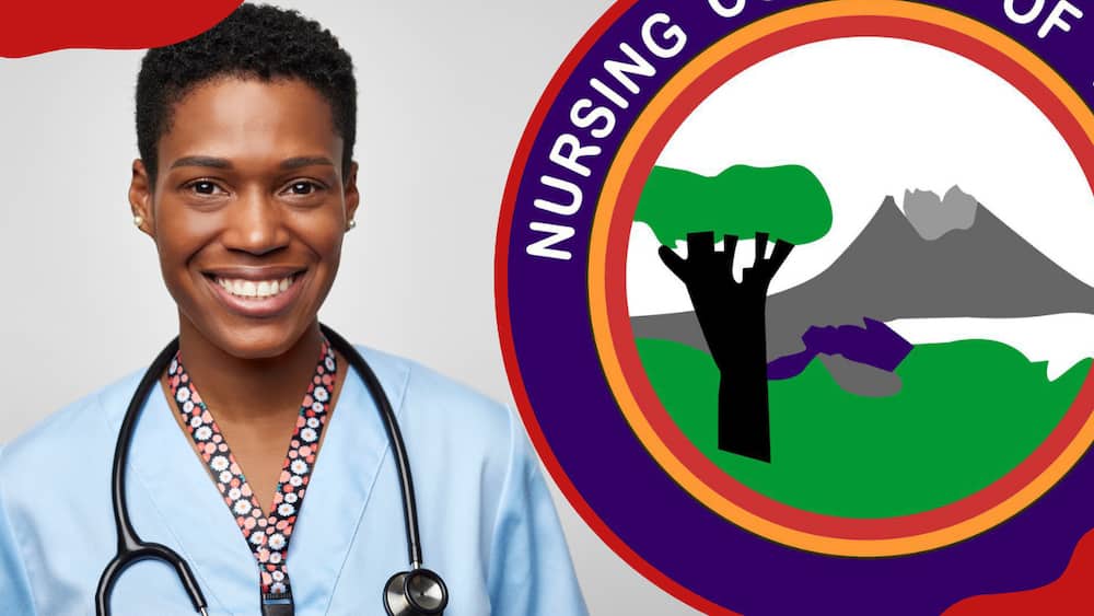A collage of a nurse practitioner and the Nursing Council of Kenya logo