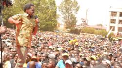 Nelson Havi Defends Mithika Linturi’s Remarks on Removing Madoadoa: “He Meant Voting Six Piece”