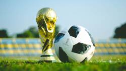 How to stream FIFA World Cup 2022 matches live in Kenya