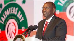 William Ruto Pleads with Kenyans to Pay Tax Based on Their Income: "KRA Wamekuwa Wangwana"