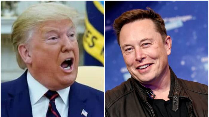 Elon Musk Reinstates Donald Trump's Twitter Account after 2 Years Suspension