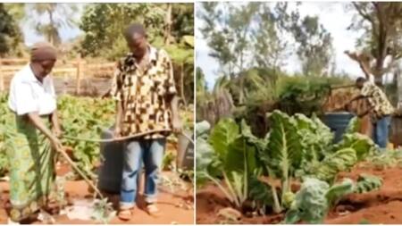 Embu Deaf Couple Beat Poverty by Embracing Horticulture: "Tulikuwa Maskini Sana"