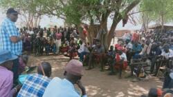 North Rift: Ray of Hope as Turkana, Pokot Reformed Cattle Rustlers Drop Firearms, Embrace Peace