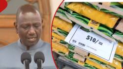 William Ruto Hints Sugar Prices Will Reduce in 2 Weeks: "We Have Ordered Imports"