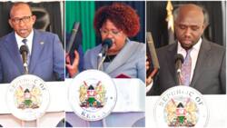 William Ruto's Appointment of 3 CSs Paves Way for Bruising Political Duel in Mini Polls