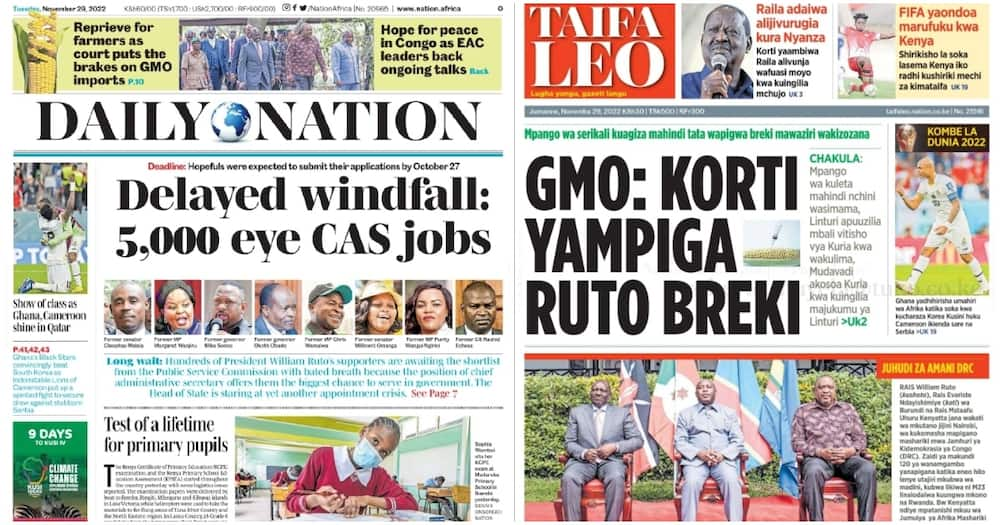 Kenyan Newspapers Review for Nov 29