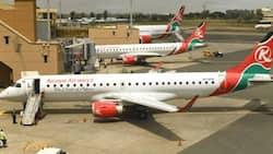KQ Woes: Inside Kenya Airways KSh 1.2b Loss from 4-Day Pilots' Strike