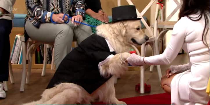 Lady gets married to dog on live TV show