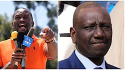 Edwin Sifuna: I Will Migrate to Another Country If William Ruto Wins Presidency