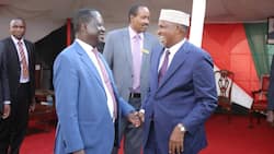 Leave William Ruto's Wealth out of Your Campaign Agenda, Aden Duale Tells Raila