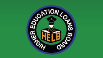 application letter for loan to pay school fees