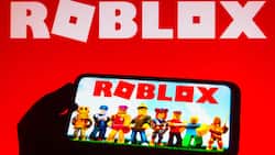 How to check your Roblox account value and where to sell