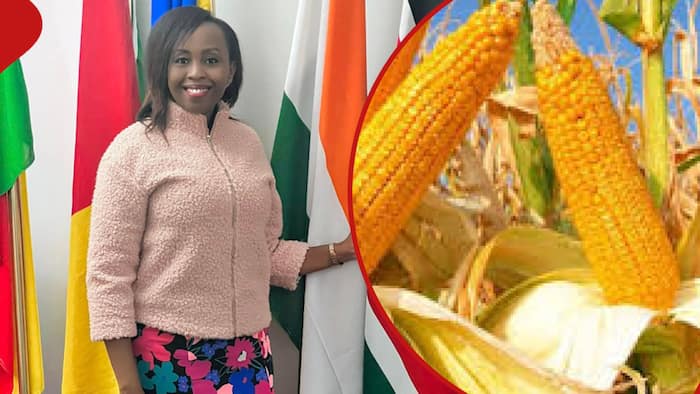 Pauline Njoroge Afraid State Corporations Privatisation Is Sinister: "We'll Lose National Seed"
