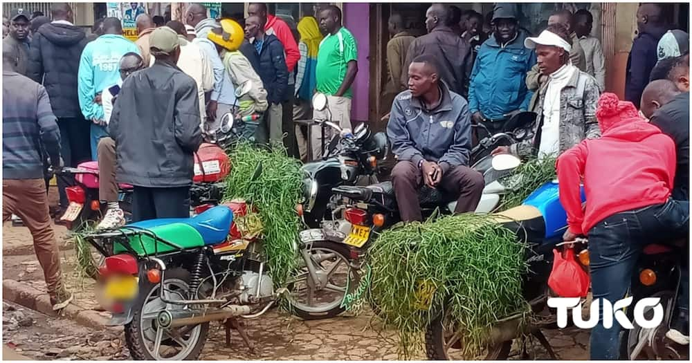 Boda boda riders.