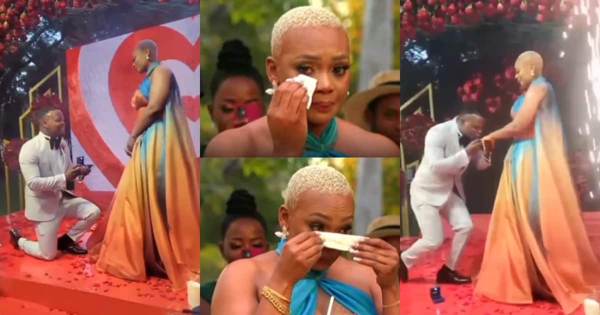 Harmonize Proposes To Longtime Lover Frida Kajala In Lovely Ceremony Tuko Co Ke