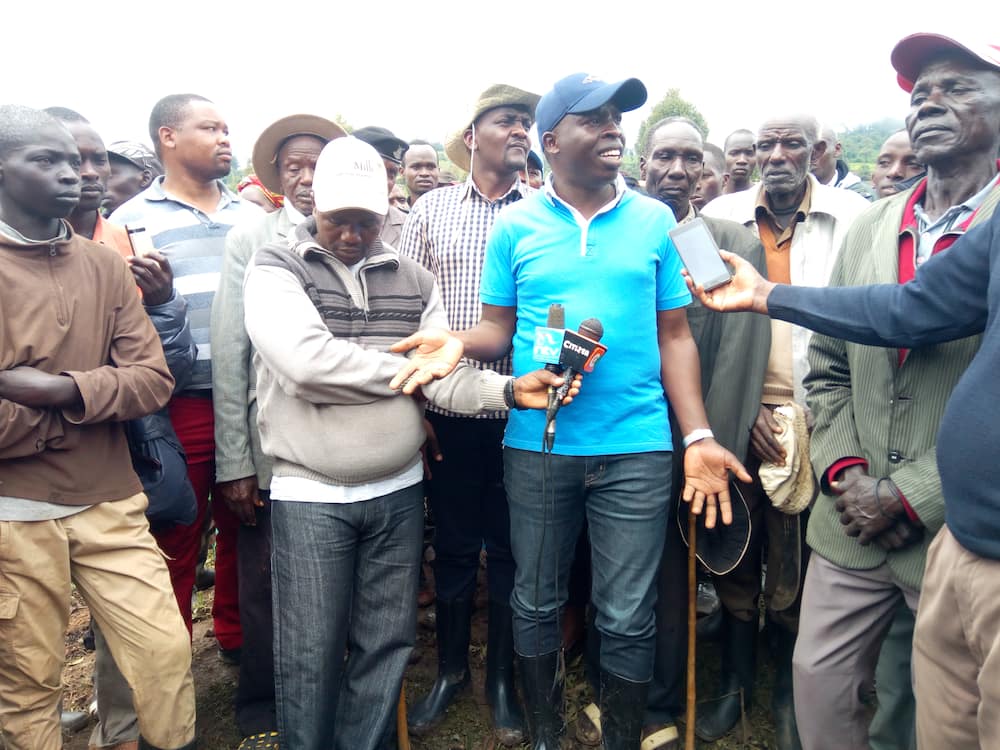 Nandi: Governor Sang wanted man after destroying tea plantation partly owned by Henry Kosgey