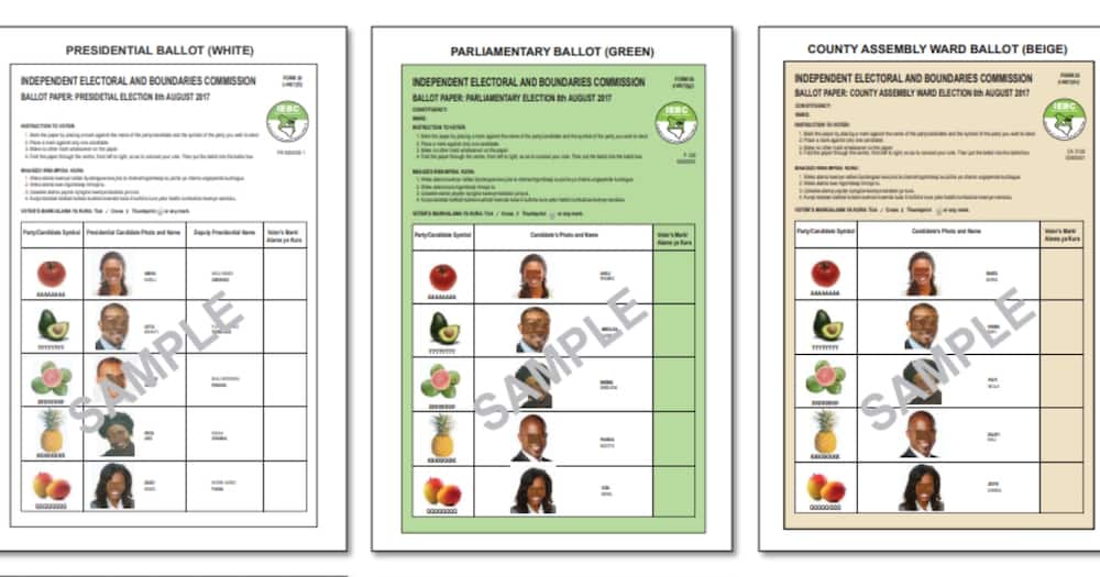Identified as Boniface Mwai, the voter wants the IEBC compelled to have "none of the above" option included in the ballot papers to be used in next year's polls.