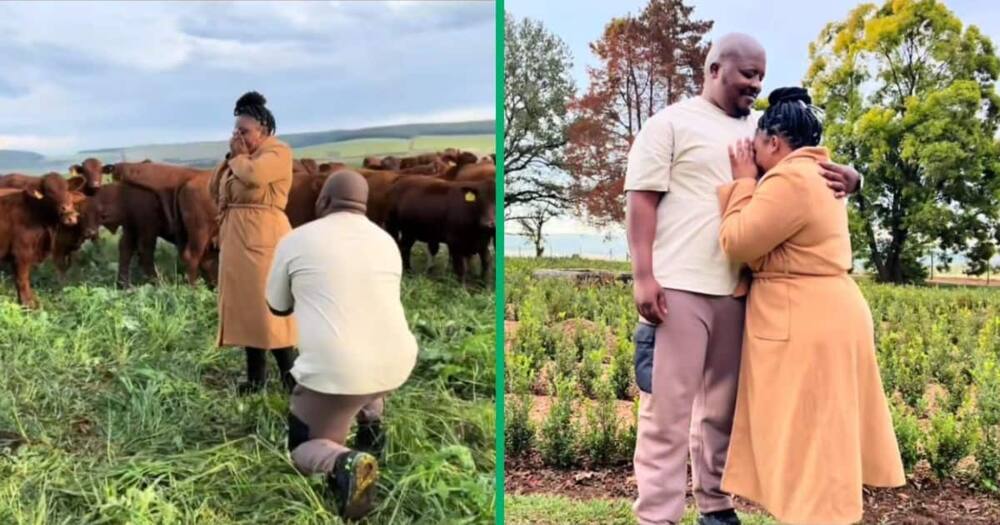 South African couple got engaged