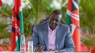 William Ruto Assents to Bill Effecting Renaming of Moi Day to Mazingira Day