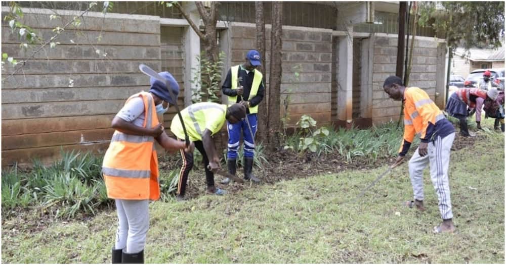 Workers absorbed in the program earn KSh 455 per day while the supervisors earn KSh 505 per day. Photo: UGC.