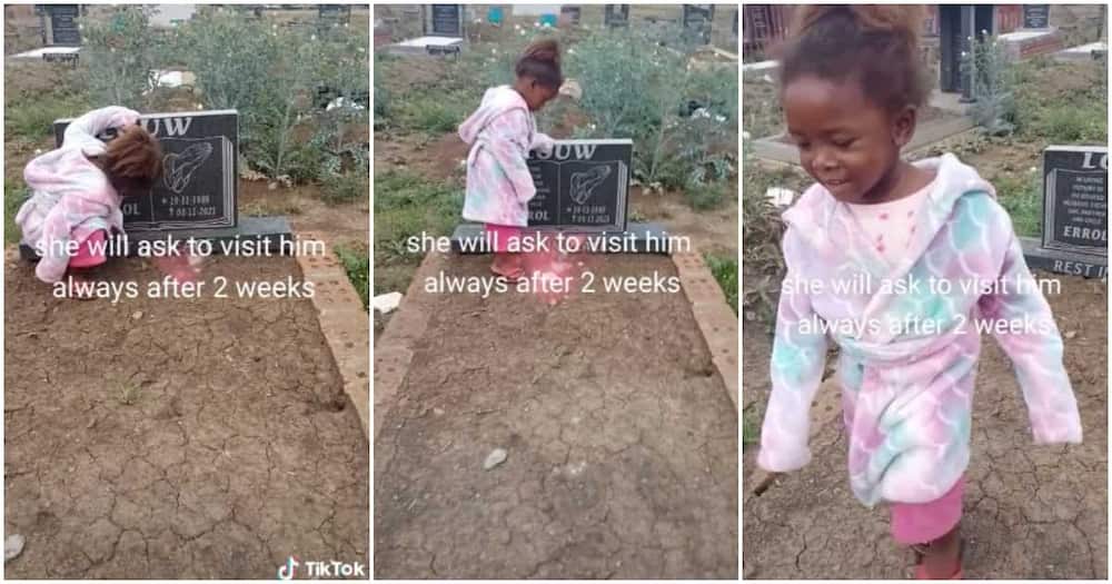 The little girl climbed on her late dad's grave to ask him to come out. Photo Credit: TikTok/@maschi02.