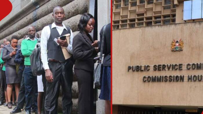 More Jobs: Govt Announces Vacancies in 4 State Departments, Asks Kenyans to Apply