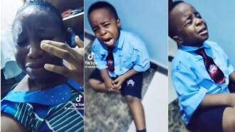 Little Boys Leaves Mother Emotional After Breaking Down to Demand Sibling