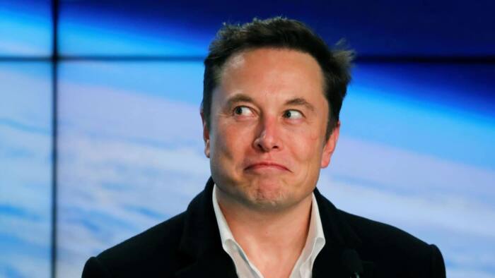 Elon Musk Dragged to Court by Twitter Shareholders for Failing to Disclose Stake in Time