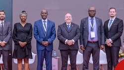Africa Agri Expo 2024: Kenyan Government Seeks Private Investors to Boost Agriculture through PPPs