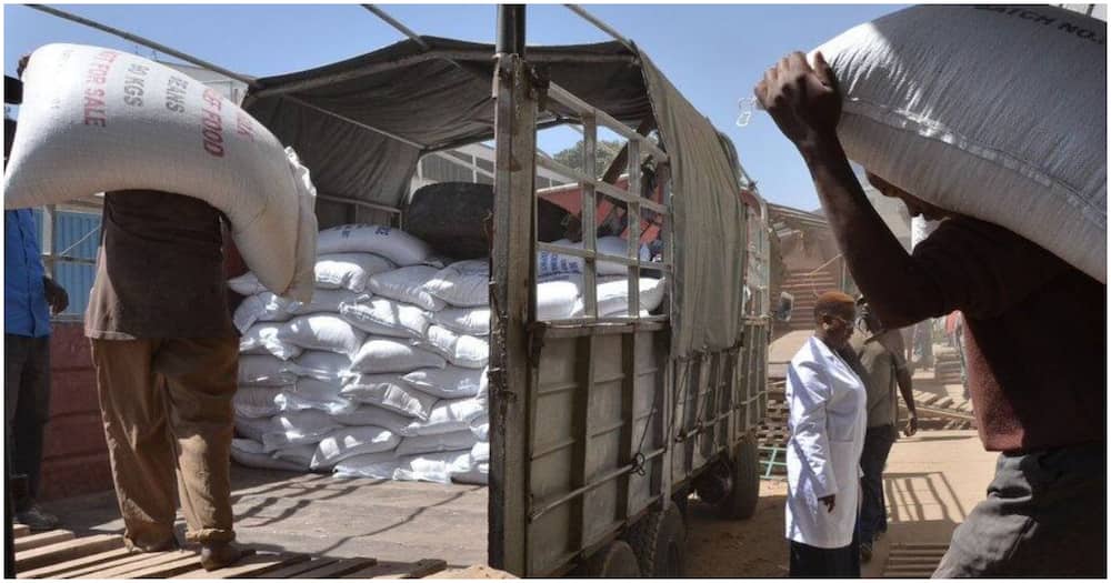 Kenya traders are struggling to export maize grain to beat the rising competition.