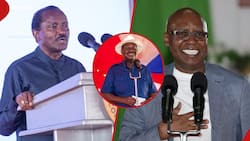 Jimi Wanjigi Says Kalonzo Musyoka Not Fit to Succeed Raila Odinga: "Nothing New to Offer"