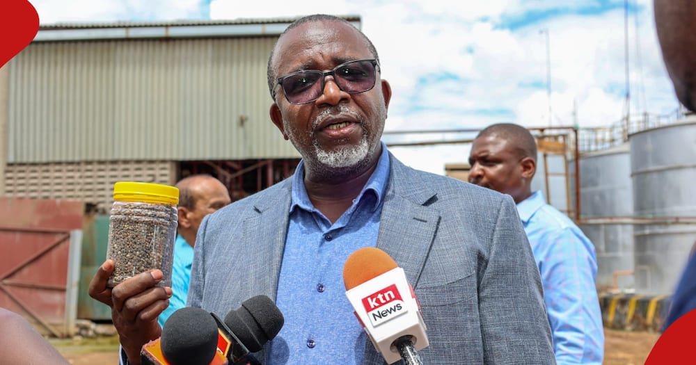 Mithika Linturi directed NCPB to compensate farmers affected in fake fertiliser scam.