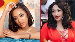 Zari Hassan Hires Tanasha Donna as Special Guest in Her Upcoming Party, Fans React: "Maturity"