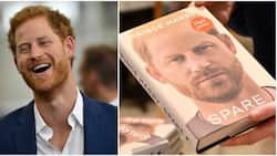 Prince of Sales: Harry's New Memoir Sells 400k Copies Day After Release, Breaks Sales Records