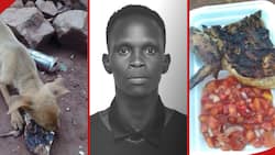 Baringo Man Hilariously Feeds Food He Prepared for Lover to Dog After She Fails to Show Up for Date