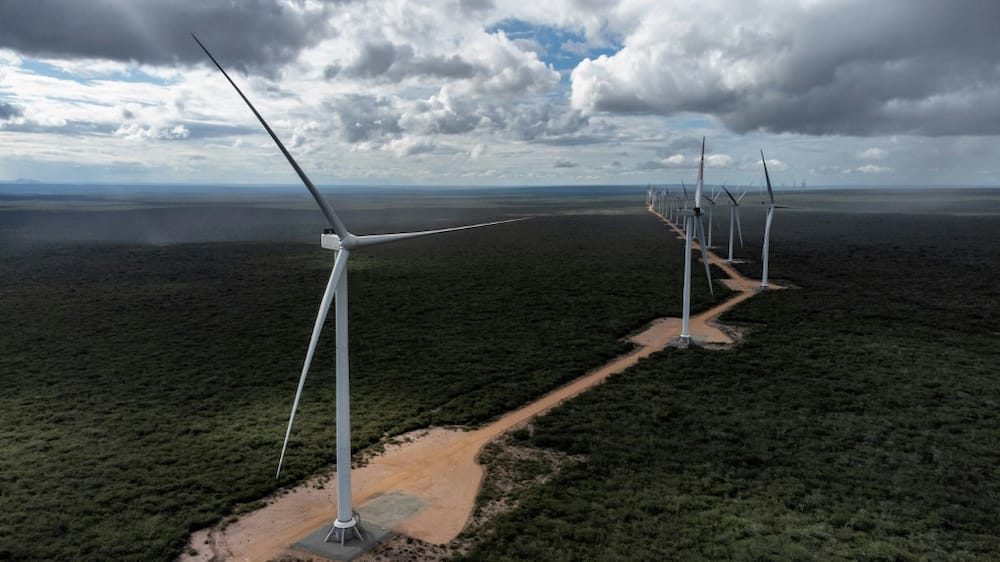 The Canudos Wind Energy Complex is one of many wind projects in Brazil's northeast, where energy and conservation demands can be at odds
