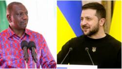 William Ruto Holds Talks with Ukraine President Volodymyr Zelensky, Lauds Food Security Efforts