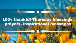 100+ thankful Thursday blessings, prayers, inspirational messages