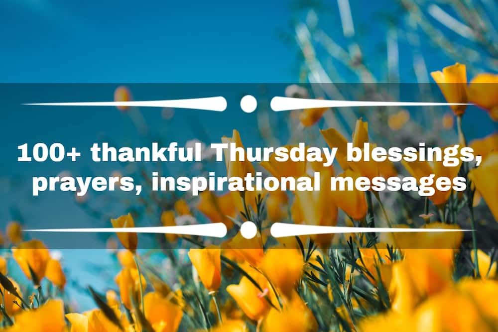 Thankful Thursday blessings