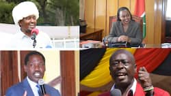 List of 9 Potential Running Mates from Mt Kenya William Ruto's Camp Has Identified