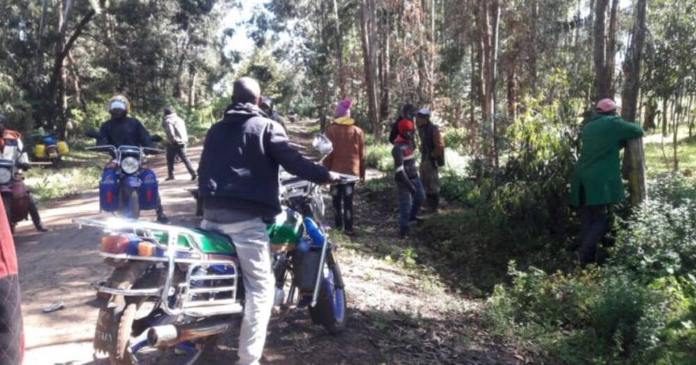 Meru: Fear grips Kiandugui village residents after dogs kill, eat man