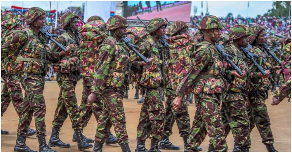 A section of KDF soldiers. Photo: Mc Otani.