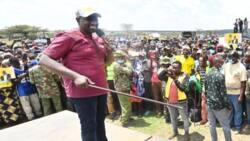 "Nyinyi Watu Tokeni": William Ruto Chases Away Journalists from His Nakuru Event